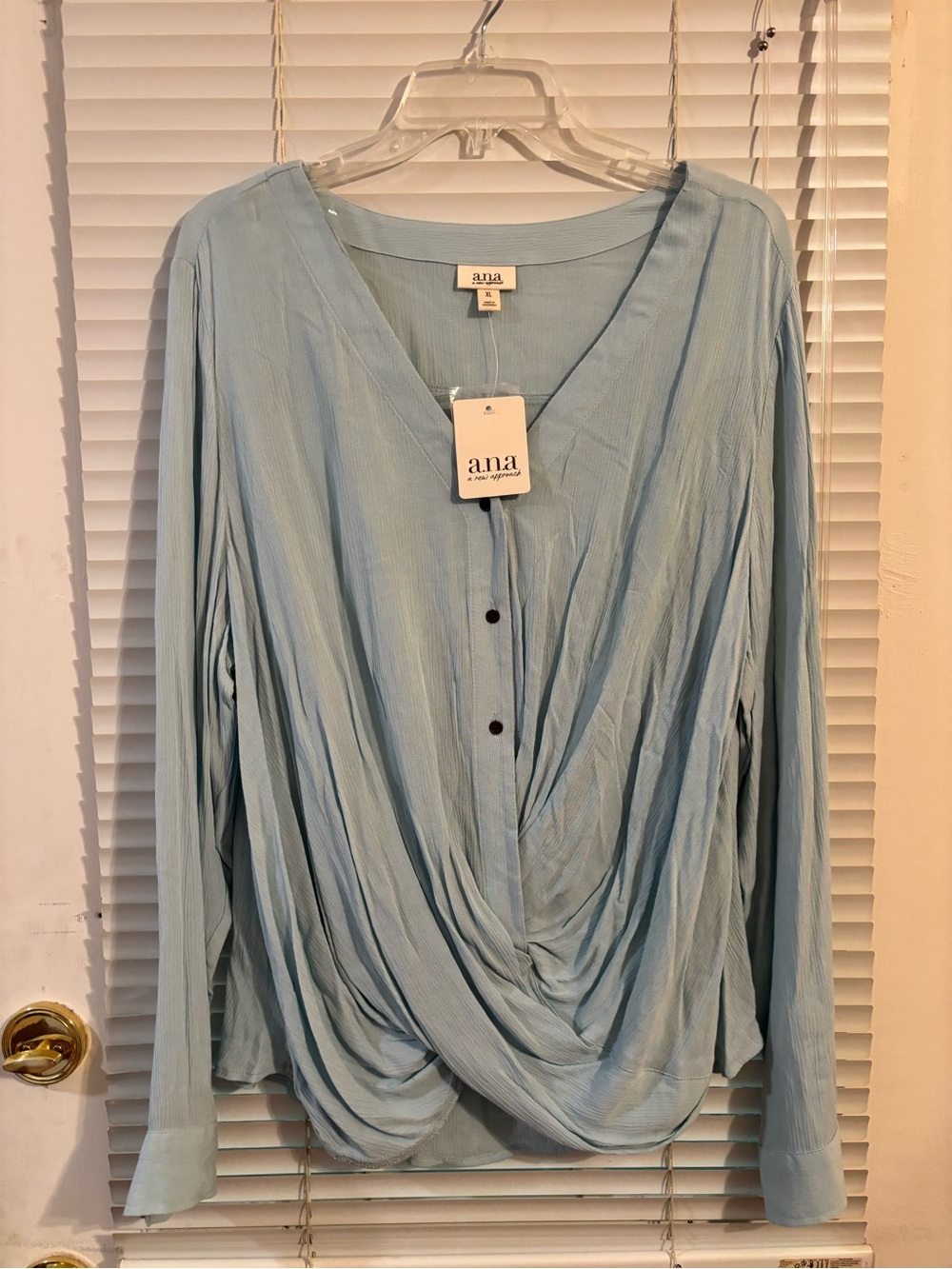 ANNA A NEW APPROACH Sheer Blouse Romantic Long Sleeve Size XL pit-pit 22”
